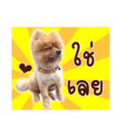 Mister Cookie（個別スタンプ：23）