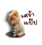 Mister Cookie（個別スタンプ：24）