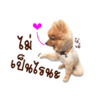 Mister Cookie（個別スタンプ：25）