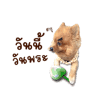 Mister Cookie（個別スタンプ：27）