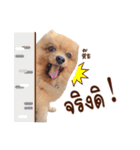 Mister Cookie（個別スタンプ：28）