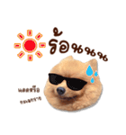 Mister Cookie（個別スタンプ：29）