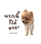 Mister Cookie（個別スタンプ：31）