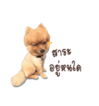 Mister Cookie（個別スタンプ：32）