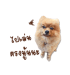 Mister Cookie（個別スタンプ：34）