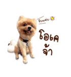 Mister Cookie（個別スタンプ：35）