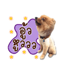 Mister Cookie（個別スタンプ：36）