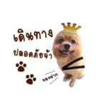 Mister Cookie（個別スタンプ：38）