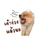 Mister Cookie（個別スタンプ：39）