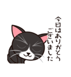 たなかさんちのねこ（ていねい編）（個別スタンプ：6）