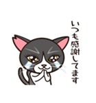 たなかさんちのねこ（ていねい編）（個別スタンプ：7）