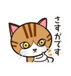 たなかさんちのねこ（ていねい編）（個別スタンプ：9）