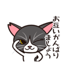 たなかさんちのねこ（ていねい編）（個別スタンプ：12）