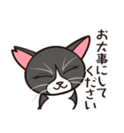 たなかさんちのねこ（ていねい編）（個別スタンプ：19）