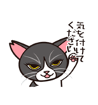 たなかさんちのねこ（ていねい編）（個別スタンプ：20）