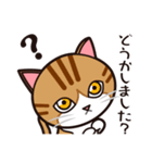 たなかさんちのねこ（ていねい編）（個別スタンプ：22）