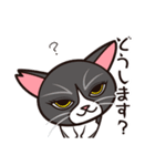 たなかさんちのねこ（ていねい編）（個別スタンプ：23）