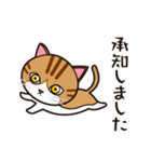 たなかさんちのねこ（ていねい編）（個別スタンプ：27）