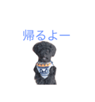 ボク、オレオ（個別スタンプ：5）