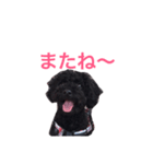 ボク、オレオ（個別スタンプ：8）