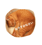 猫の憂鬱（個別スタンプ：2）