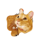 猫の憂鬱（個別スタンプ：7）