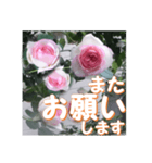 薔薇の花♡PdR2_挨拶メッセージ（個別スタンプ：14）