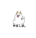 白柴style01（個別スタンプ：1）