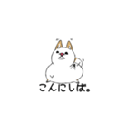 白柴style01（個別スタンプ：2）