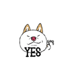 白柴style01（個別スタンプ：8）
