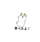 白柴style01（個別スタンプ：12）