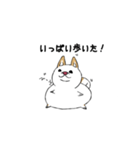 白柴style01（個別スタンプ：14）