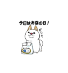 白柴style01（個別スタンプ：15）