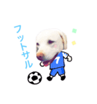 毎日こなちゃん（個別スタンプ：33）