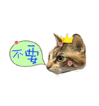 Mia's 4 cats（個別スタンプ：6）
