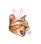 Mia's 4 cats（個別スタンプ：15）