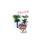 ハムスターのぽぽちゃん（個別スタンプ：5）