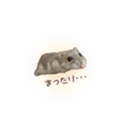 ハムスターのぽぽちゃん（個別スタンプ：18）