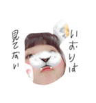 いおりだよ（個別スタンプ：8）