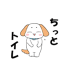 にぎやか3匹（個別スタンプ：4）