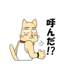 にぎやか3匹（個別スタンプ：9）