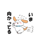 にぎやか3匹（個別スタンプ：15）