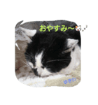うちのゆきリン（個別スタンプ：2）