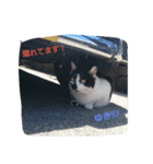 うちのゆきリン（個別スタンプ：8）