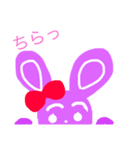 うさぎっちスタンプ（個別スタンプ：1）