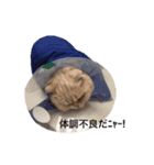 ブラックジル PART2（個別スタンプ：5）