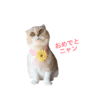 ブラックジル PART2（個別スタンプ：16）