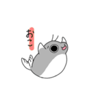 海豹の青木さん（個別スタンプ：1）