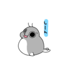 海豹の青木さん（個別スタンプ：7）