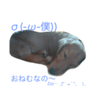 ฅU•ﻌ•Uฅ（個別スタンプ：7）